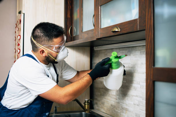 Best Emergency Pest Control  in Reedsville, WI