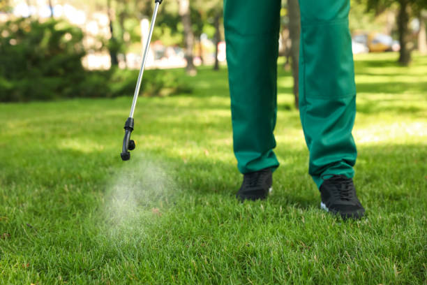 Best Rodent Control Near Me  in Reedsville, WI