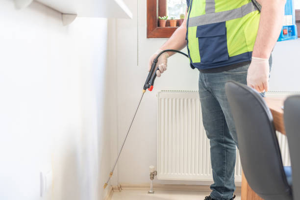Reliable Reedsville, WI Pest Control Solutions