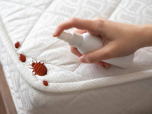 Best Flea Control Services  in Reedsville, WI