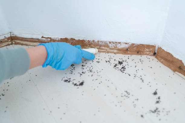 Best Pest Removal Services  in Reedsville, WI