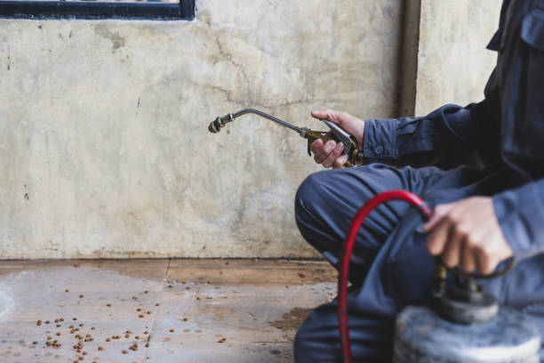 Best Pest Prevention Services  in Reedsville, WI