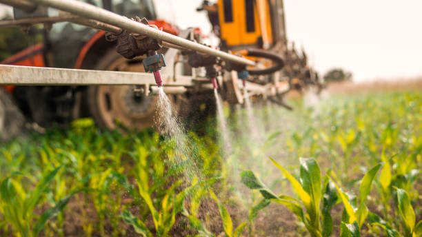 Best Affordable Exterminators  in Reedsville, WI